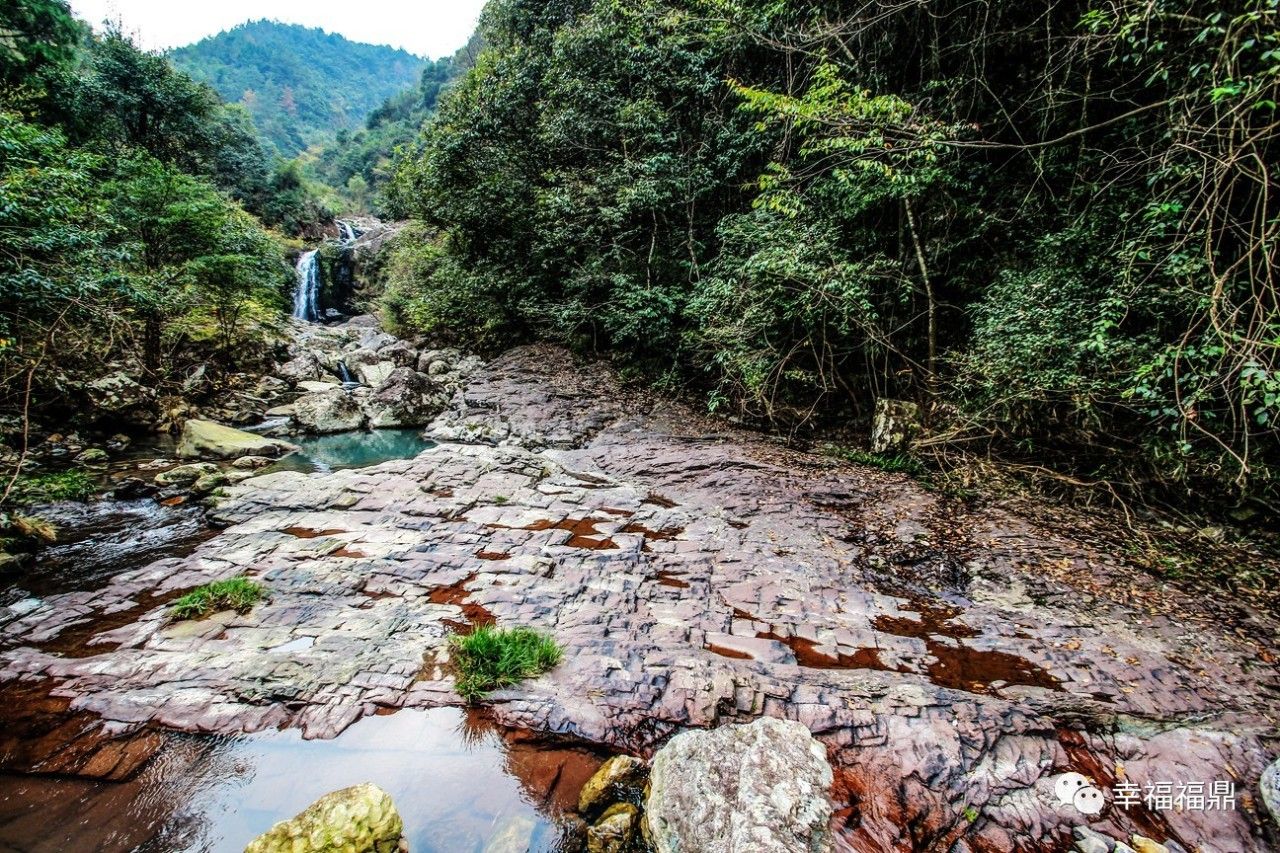 秘境杨梅,安吉杨梅溪