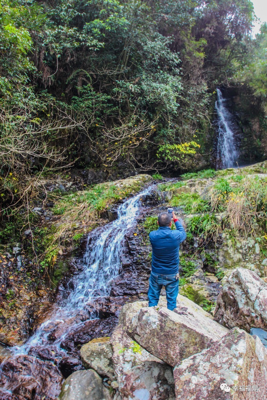 秘境杨梅,安吉杨梅溪