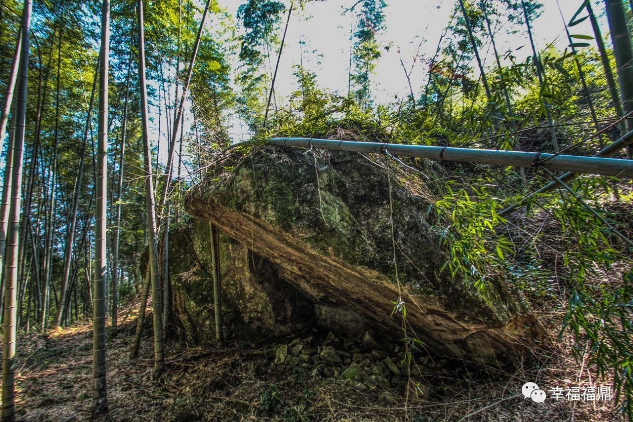 秘境杨梅,安吉杨梅溪