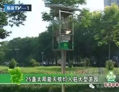 1分钟阅读视频,1分钟阅读