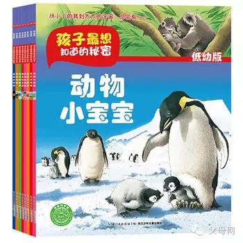 宝宝眼睛里面有个毛丝怎么办呢,妈妈你的眼睛为什么是这样的