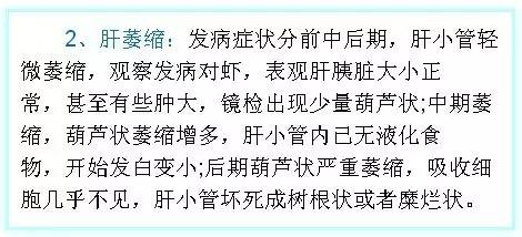 南美白对虾空肠空胃图,怎么判断南美白对虾空肠空胃