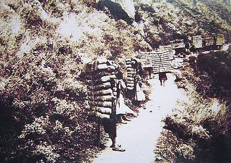 茶马古道海上丝绸之路,茶马古道发祥地西藏