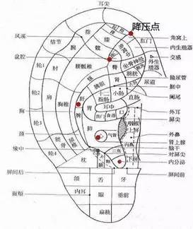 鑰崇┐鍩嬬苯鎿嶄綔浣滅敤,鑰崇┐鍩嬬苯涓村簥杩愮敤