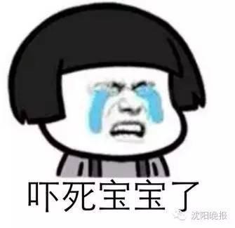 一海滩惊现毒水母,剧毒水母被蛰了