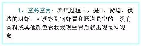南美白对虾空肠空胃图,怎么判断南美白对虾空肠空胃