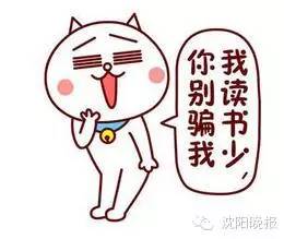 一海滩惊现毒水母,剧毒水母被蛰了