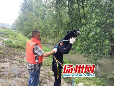 马卞港闸堤坝出现两处管涌“水下蛙人”连夜排险