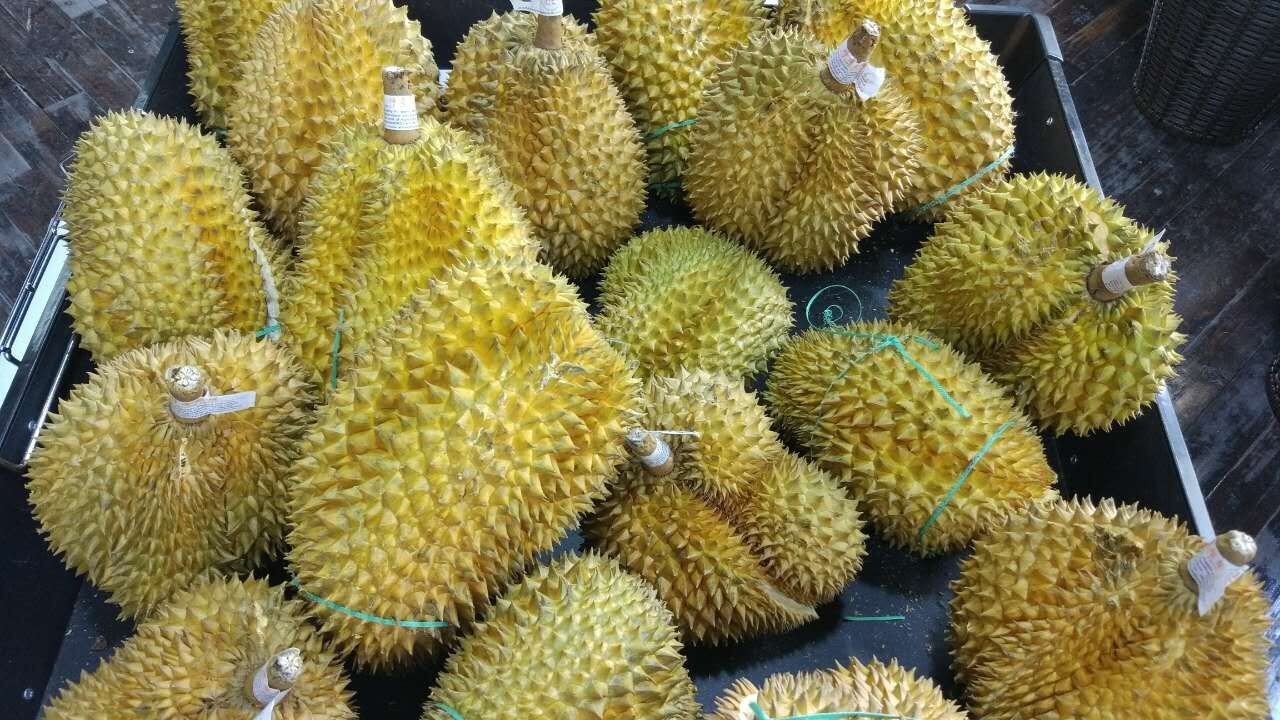 秒杀代购！华东最大海淘商品中心今天开门啦！园区人在家门口买买买的好去处又多一个！