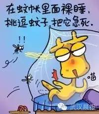 总有蚊子飞进屋？可能是纱门纱窗用错了哦