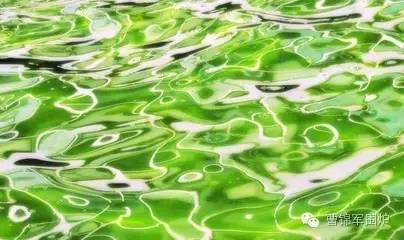 一尘|浅浅的走过这一夏