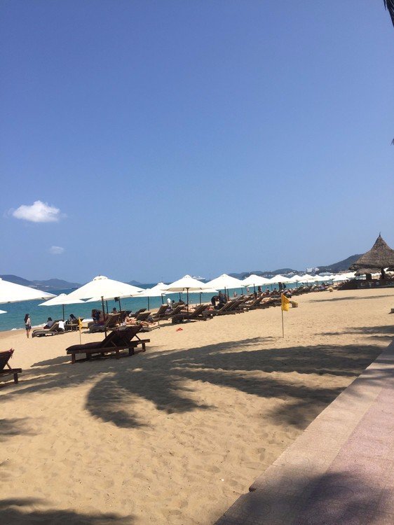 芽庄旅游落地签证关注事项,芽庄旅游签证办理流程及费用