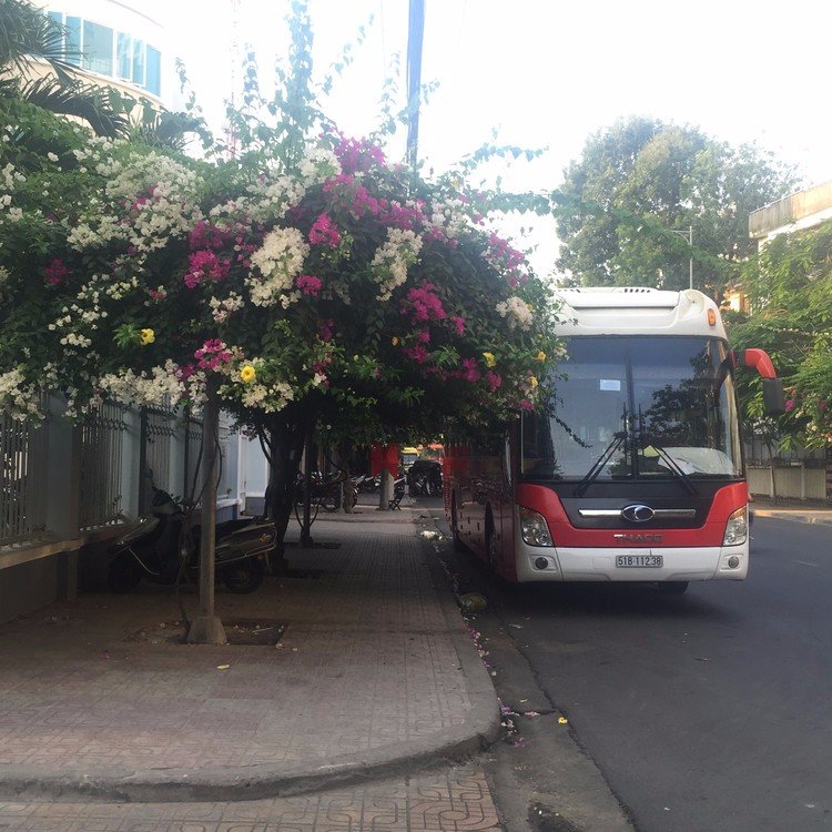 芽庄旅游落地签证关注事项,芽庄旅游签证办理流程及费用