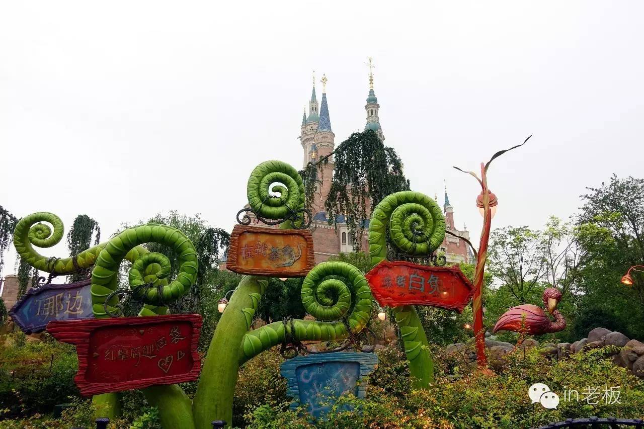 disneyland香港迪士尼奇妙家之旅,disneyland上海迪士尼乐园