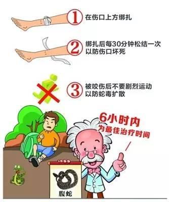 被蛇咬了怎么包扎,救命贴正确方法