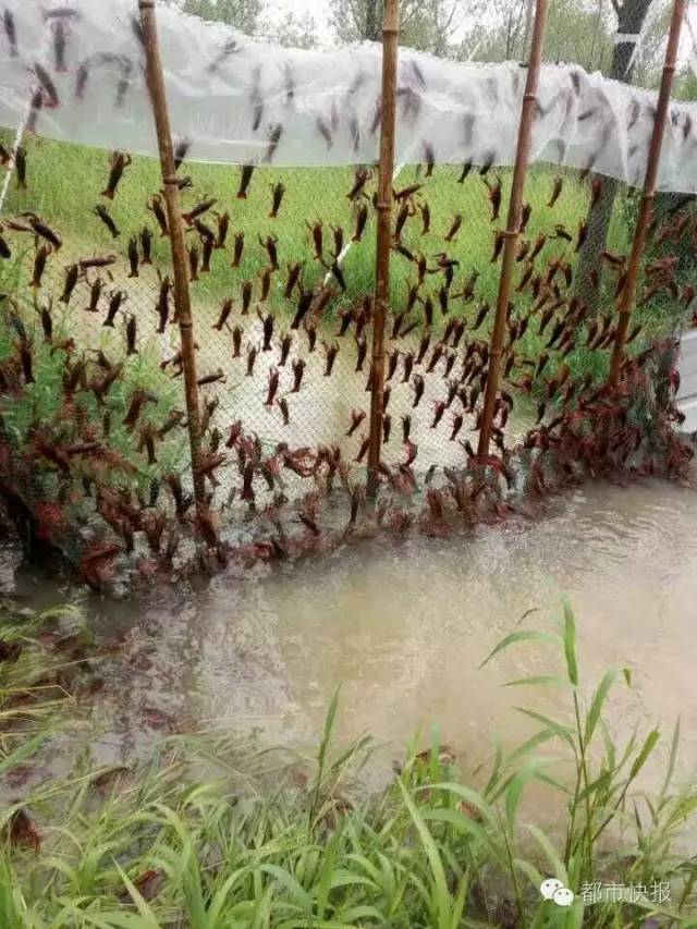 今天，全国人民都在关注这座城市！｜赣州人涉水一定要关注！