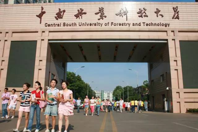 暑假别乱跑,长沙高校游玩攻略最新