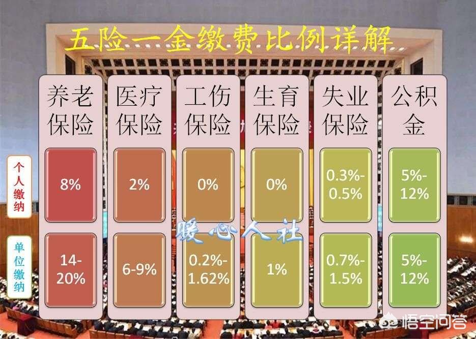 税务局代收社保,税务局怎么给职工缴纳社保