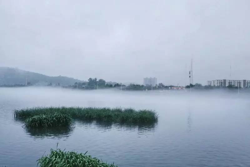 镜头下的信阳浉河区,信阳浉河区美丽景象