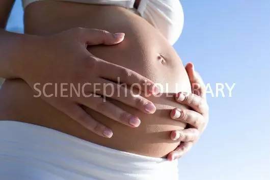 邓文慧论文,邓文慧山东德州