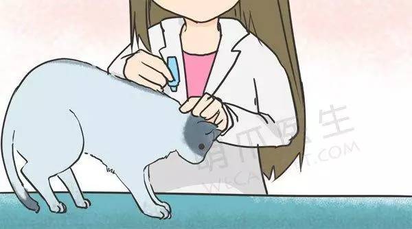 宠物除蚤除螨,有跳蚤用什么药