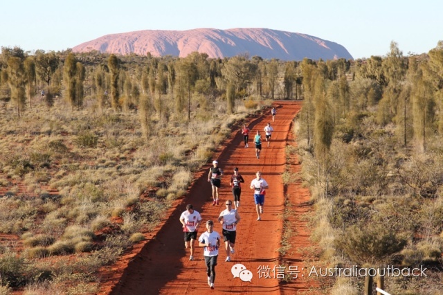 澳洲维珍航空和澳洲航空,澳洲维珍航空商务舱墨尔本飞悉尼