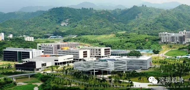 上海黄金交易所深圳运营中心,深圳黄金交易所