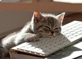 3-6岁儿童腹泻用药,6岁儿童腹泻的快速解决方法