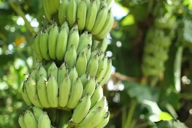 海口休闲度假的10个好去处你一定要知道