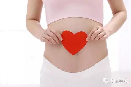 解析孕期至产后准妈咪的子宫变化