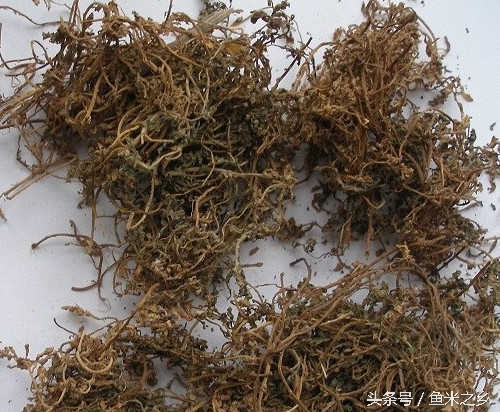 鼻炎用什么土方法效果佳,农村治鼻炎的最佳方法