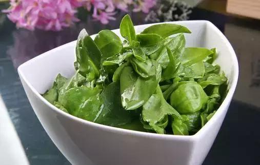 绿色无污染健康养生,绿色生态的养生方法