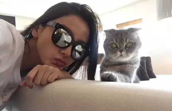 快拿下这只温柔野兽，TA能帮你挡脸藏肉！