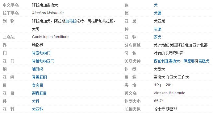 阿拉斯加雪橇犬和哈士奇的区别,阿拉斯加雪橇犬和哈士奇区别