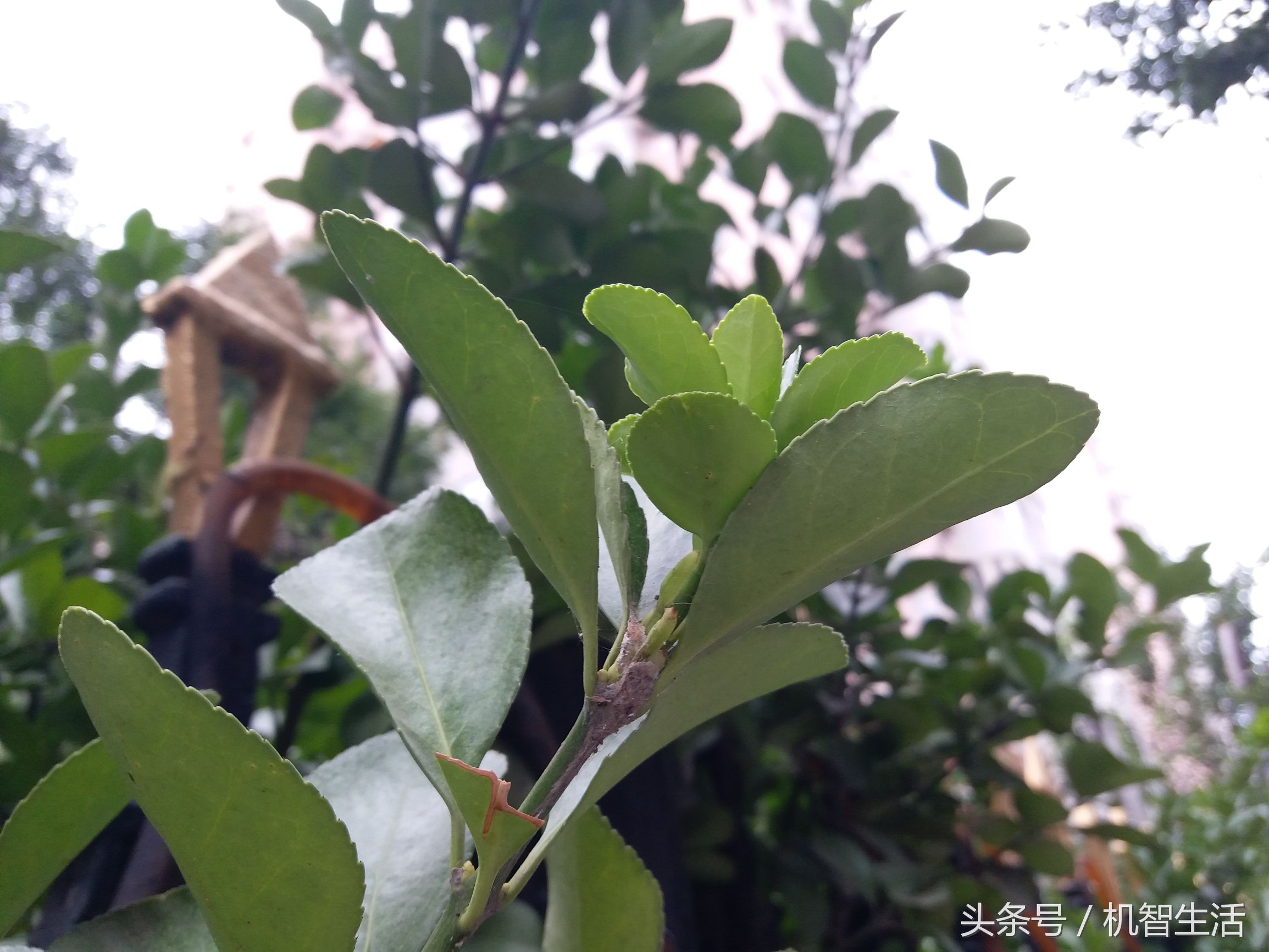 三星galaxyc7有什么配置,三星galaxyc7pro评测