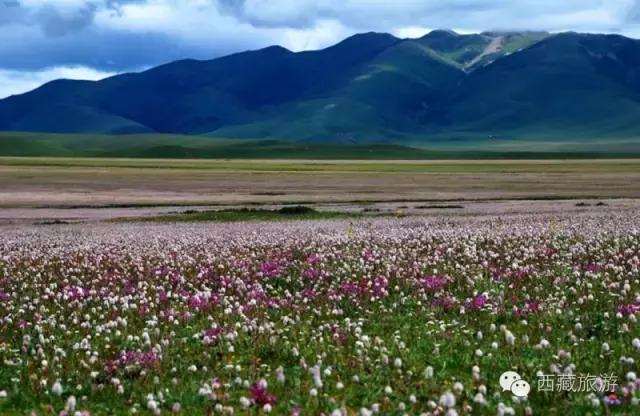 川藏南线进藏十天旅游线路,川藏南线进藏行程