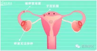 备孕有必要做孕前检查吗,四十岁备孕孕前检查哪些项目