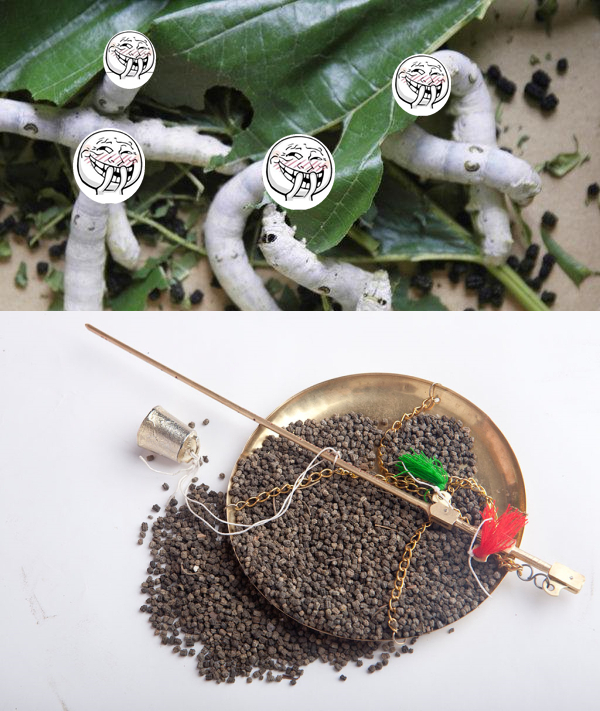 这些屎你曾吃过吗？