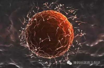 生化妊娠强行保胎导致胚胎异常,有生化妊娠的迹象保胎了会怎么样