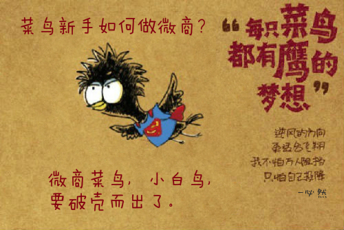 微商小白入门微商从哪里做起,微商新手怎样做代理