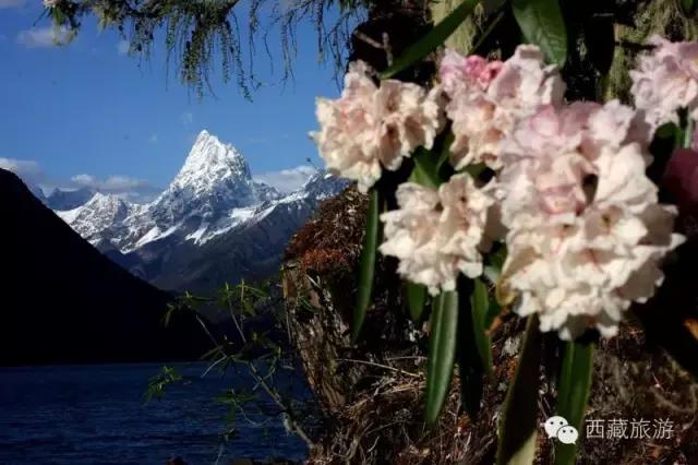 川藏南线进藏十天旅游线路,川藏南线进藏行程