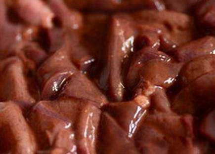 鸡肝开饵的方法,万能的狗鱼饵