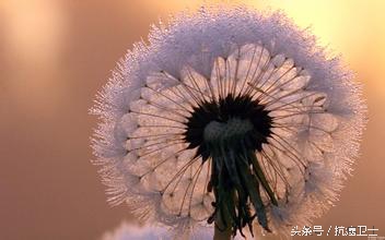 胃癌一期病例,胃癌患者早期的自述