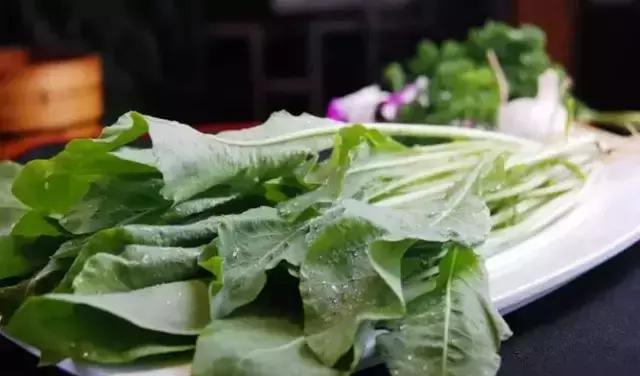 绿色无污染健康养生,绿色生态的养生方法