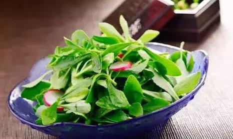 绿色无污染健康养生,绿色生态的养生方法