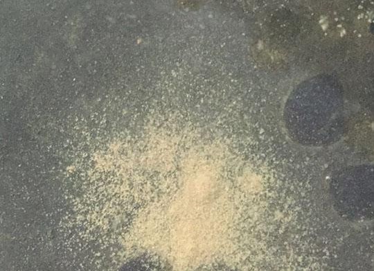 冬季黑坑怎么用小黄面,黑坑鲤鱼小黄面饵料配方