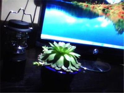 古人近视咋办？斋戒百日，沐浴作法外送一条咒语