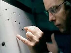 世界十大奇葩高薪工作,有趣的高薪职业