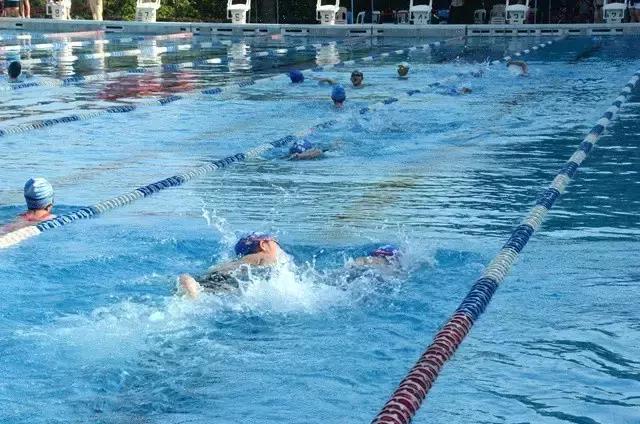 2019浩沙杯青少年游泳冠军赛,第六届厦金青少年游泳大赛