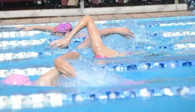 2019浩沙杯青少年游泳冠军赛,第六届厦金青少年游泳大赛